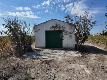 Terreno para Venda em Palmela