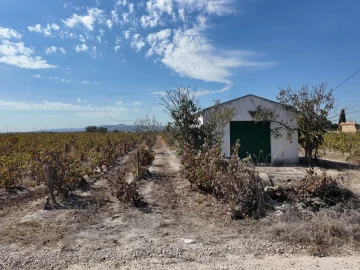 Terreno para Venda em Palmela