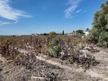Terreno para Venda em Palmela