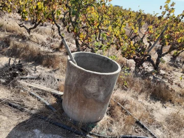 Terreno para Venda em Palmela