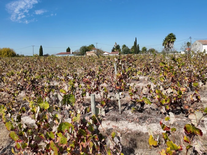 Terreno para Venda em Palmela Foto 6