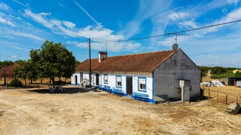 Quinta para Venda em Vendas Novas
