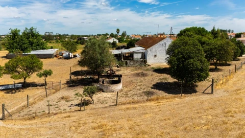 Quinta para Venda em Vendas Novas