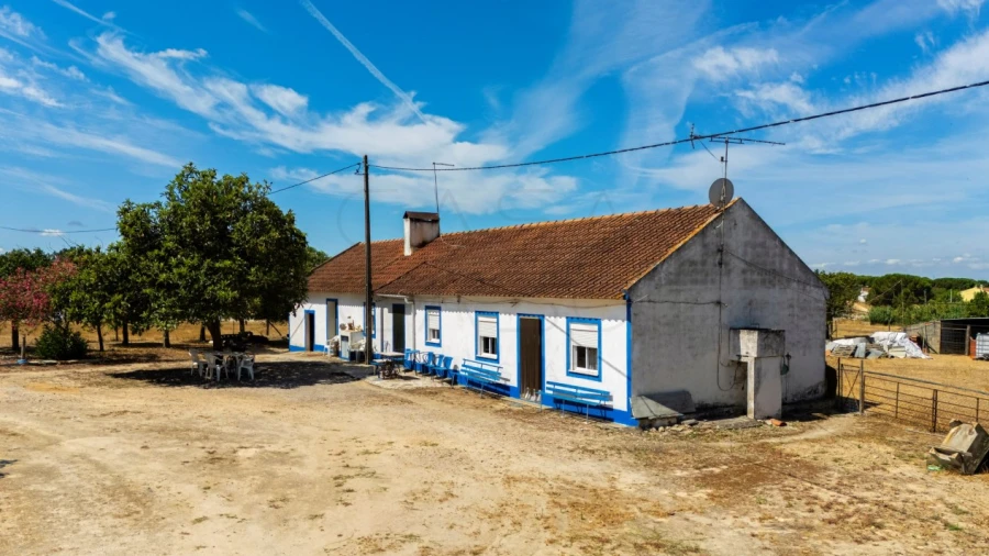 Quinta para Venda em Vendas Novas