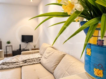 Apartamento para Venda em Estrela