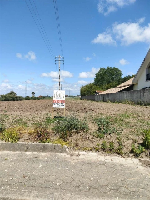 Terreno para Venda em Ílhavo (São Salvador)