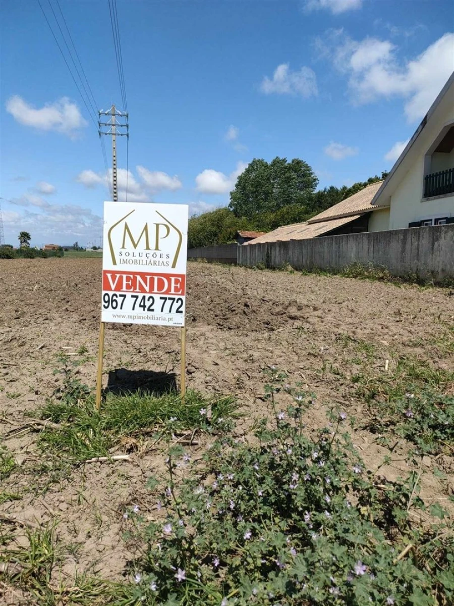 Terreno para Venda em Ílhavo (São Salvador) Foto 4