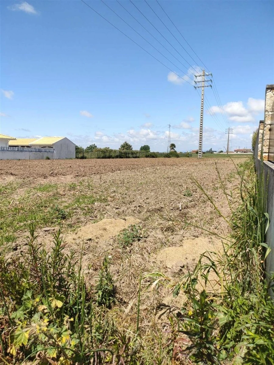 Terreno para Venda em Ílhavo (São Salvador) Foto 7