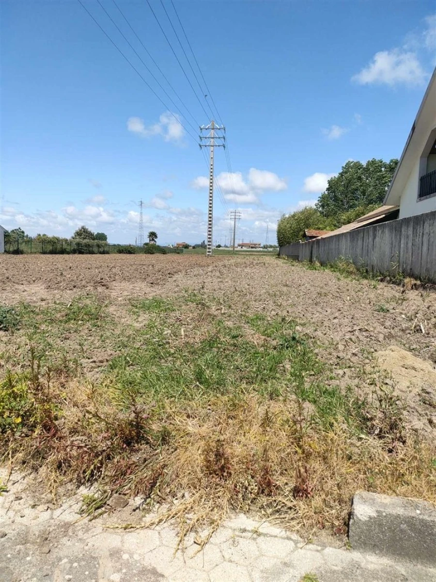 Terreno para Venda em Ílhavo (São Salvador) Foto 12