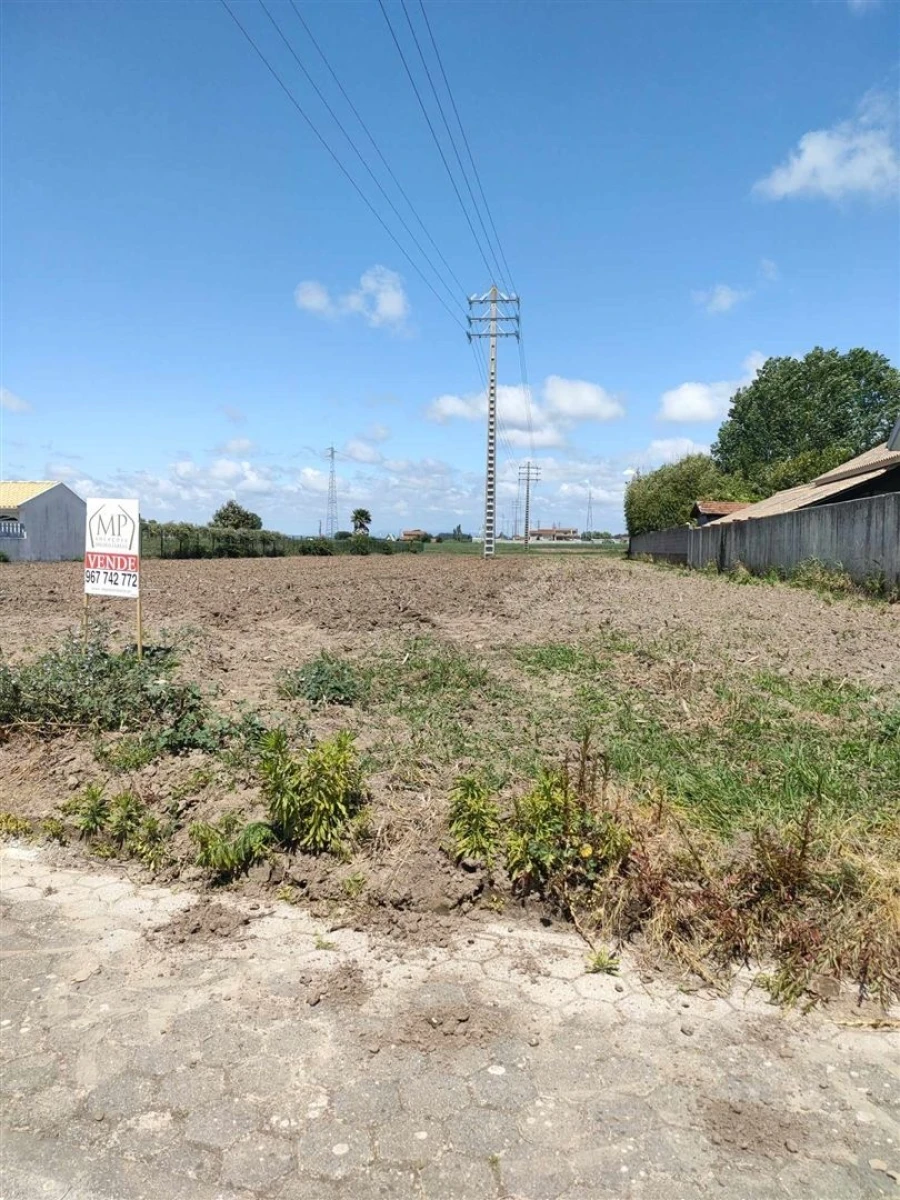 Terreno para Venda em Ílhavo (São Salvador) Foto 13
