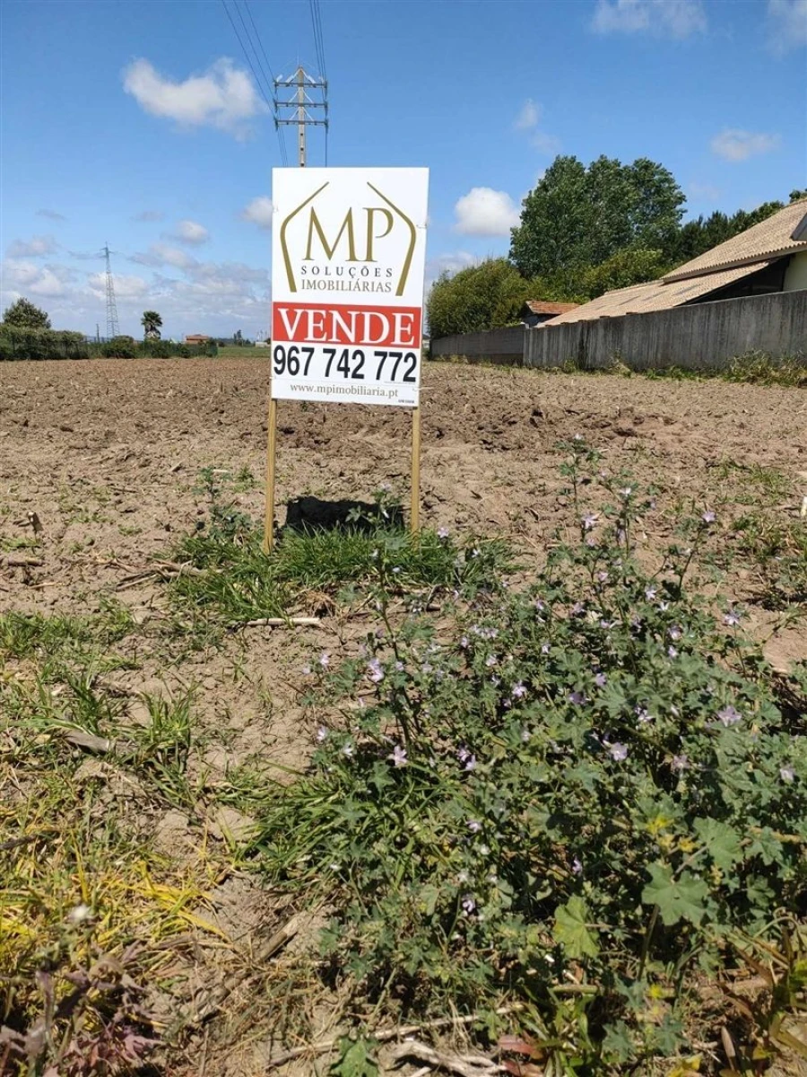 Terreno para Venda em Ílhavo (São Salvador) Foto 6