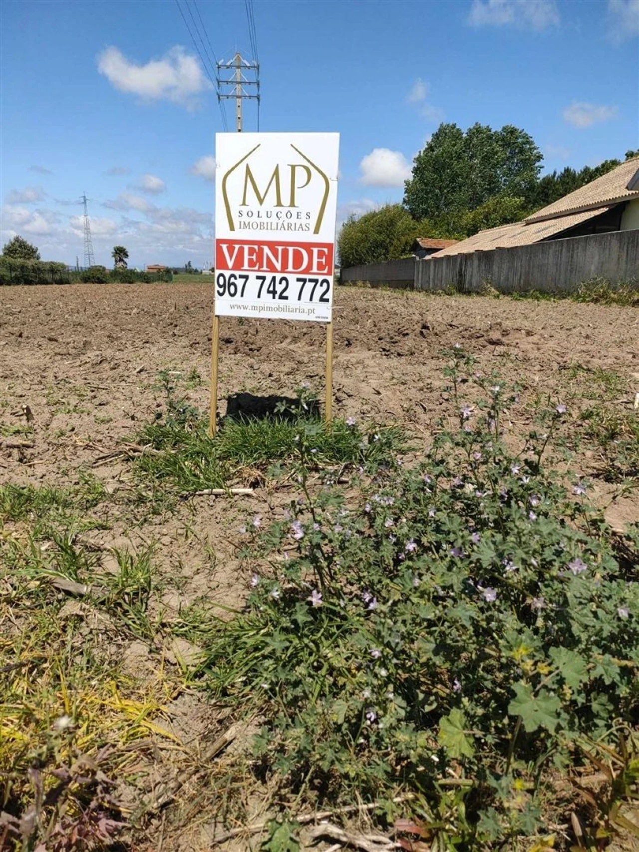 Terreno para Venda em Ílhavo (São Salvador) Foto 6