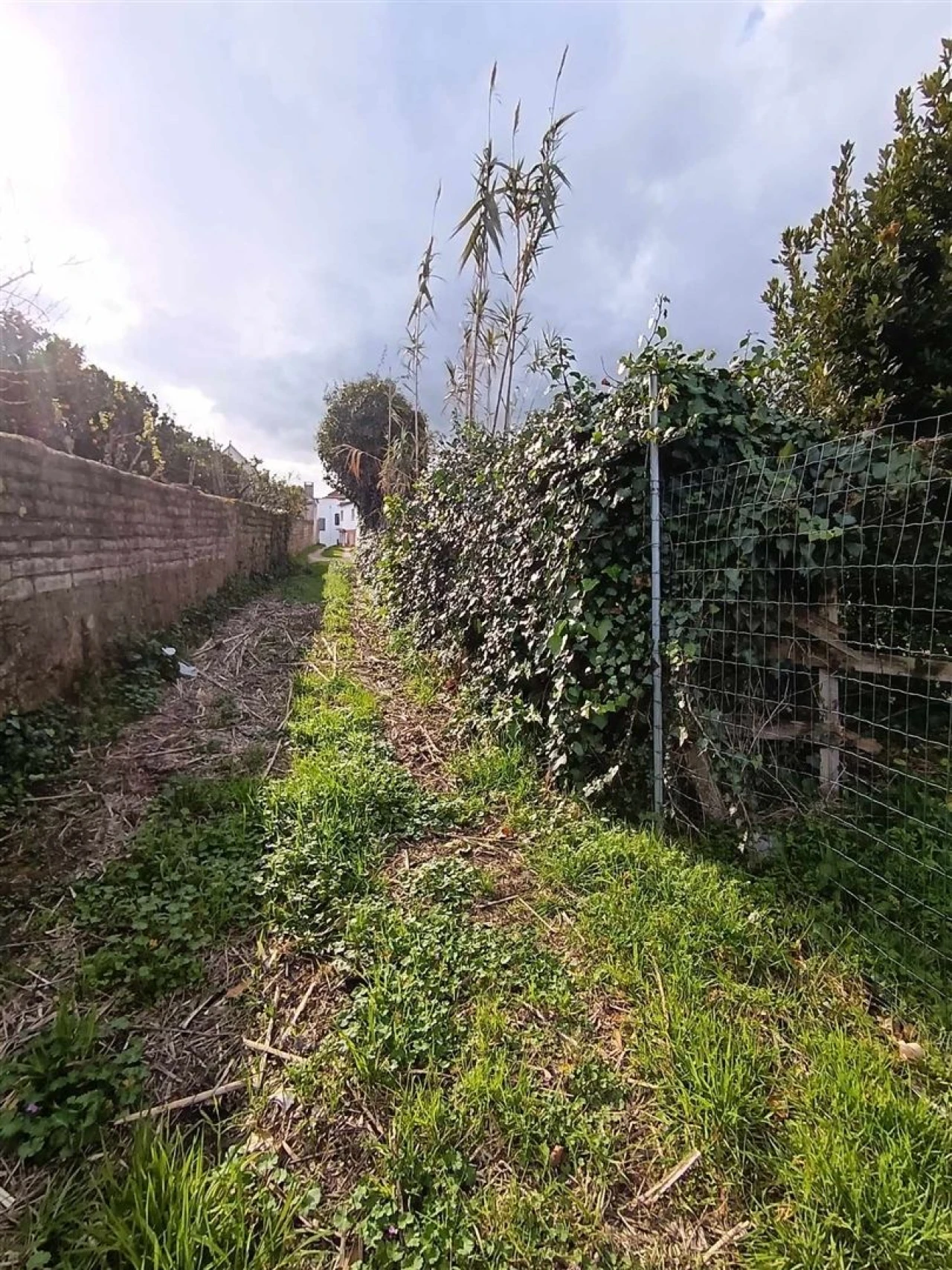 Moradia T4 para Venda em Ílhavo (São Salvador) Foto 13
