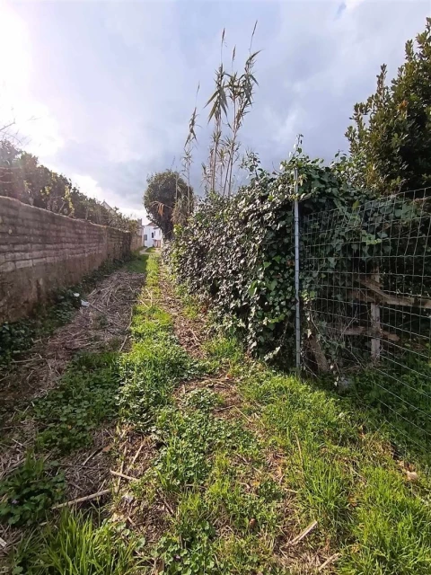 Moradia T4 para Venda em Ílhavo (São Salvador)
