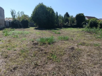 Moradia T4 para Venda em Ílhavo (São Salvador)