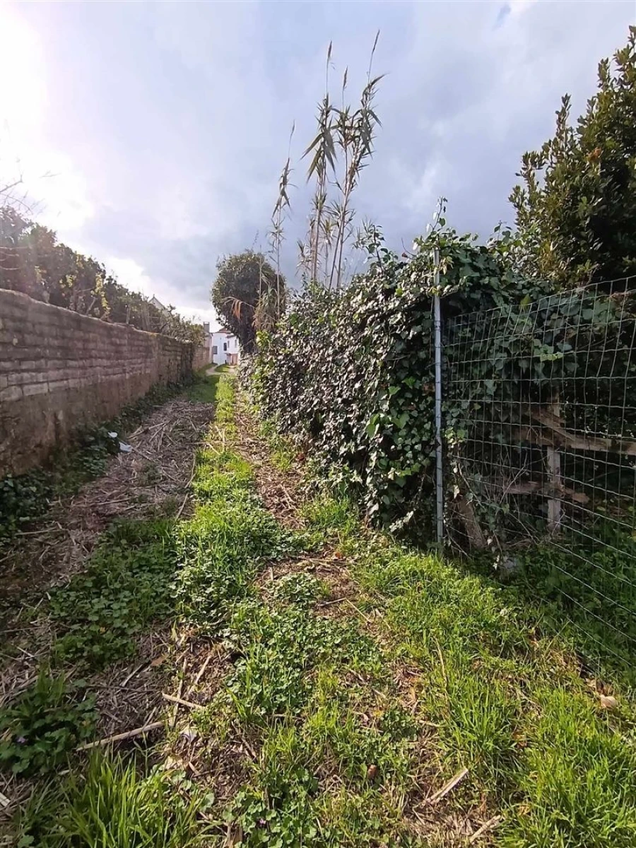 Moradia T4 para Venda em Ílhavo (São Salvador) Foto 13