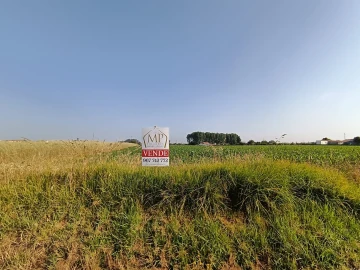 Terreno Agricola ou Rústico para Venda em Ílhavo (São Salvador)