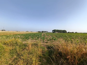 Terreno Agricola ou Rústico para Venda em Ílhavo (São Salvador)