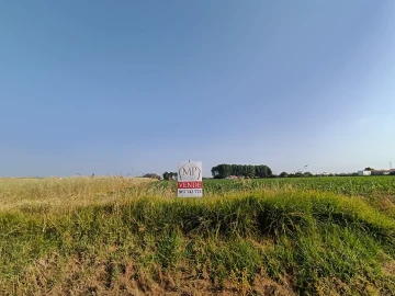 Terreno Agricola ou Rústico para Venda em Ílhavo (São Salvador)