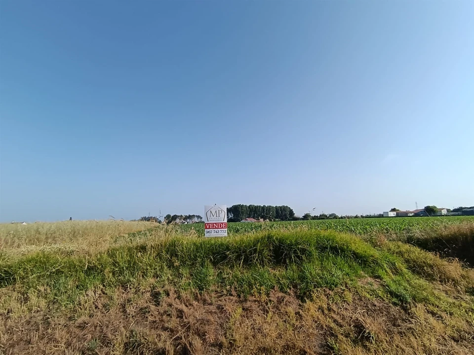 Terreno Agricola ou Rústico para Venda em Ílhavo (São Salvador) Foto 5