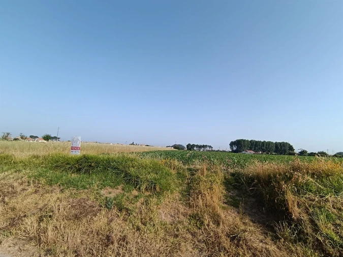 Terreno Agricola ou Rústico para Venda em Ílhavo (São Salvador) Foto 3