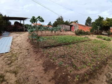 Moradia T1 para Venda em Oliveira do Bairro