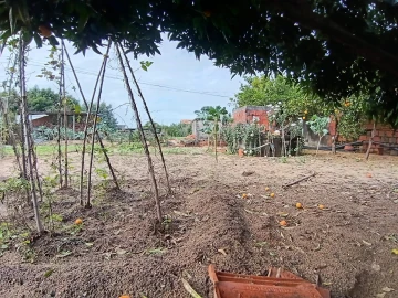 Moradia T1 para Venda em Oliveira do Bairro