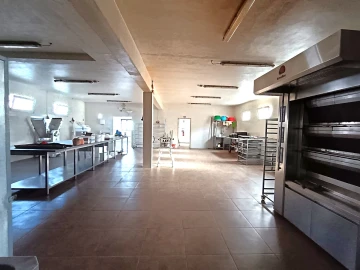 Negócio para Venda em Febres