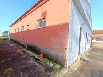 Negócio para Venda em Febres