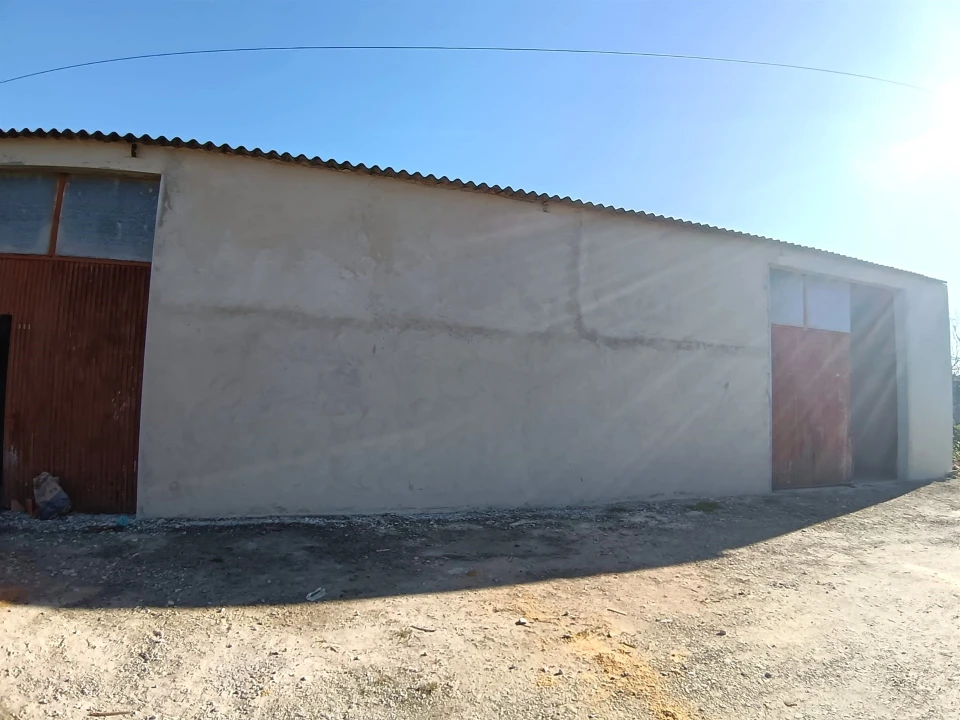 Armazém para Venda em Soza Foto 8