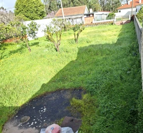 Terreno para Venda em Santo Andre de Vagos