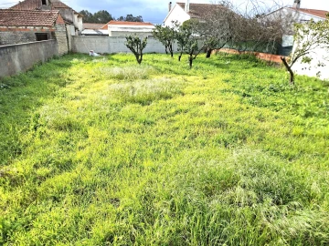 Terreno para Venda em Santo Andre de Vagos