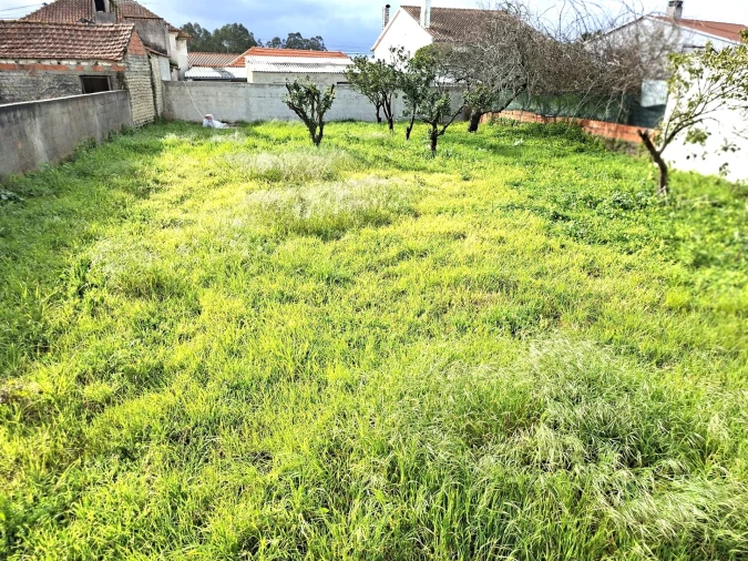 Terreno para Venda em Santo Andre de Vagos Foto 10
