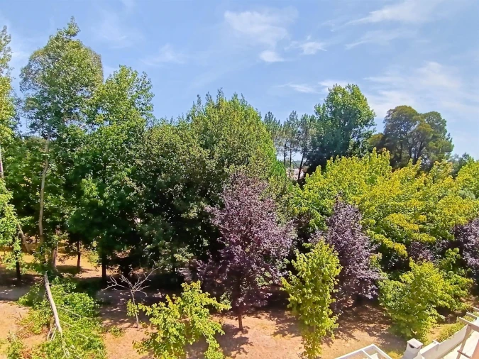 Apartamento T2 para Venda em Eixo e Eirol Foto 20