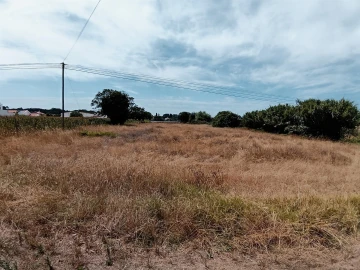 Terreno para Venda em Ílhavo (São Salvador)