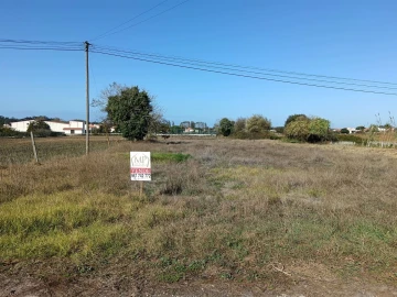 Terreno para Venda em Ílhavo (São Salvador)