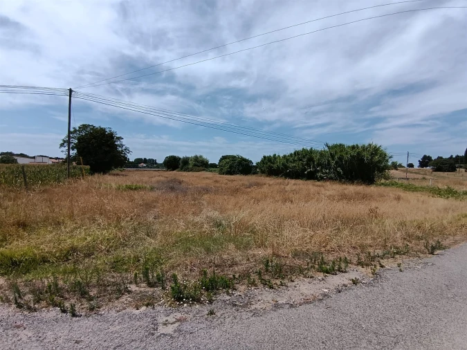 Terreno para Venda em Ílhavo (São Salvador) Foto 2