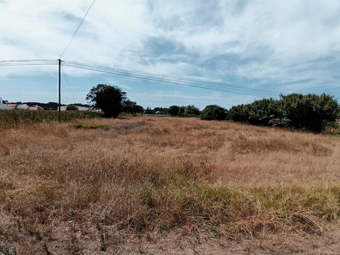 Terreno para Venda em Ílhavo (São Salvador) Foto 7