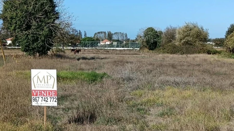 Terreno para Venda em Ílhavo (São Salvador)
