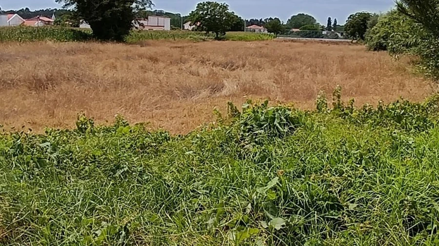 Terreno para Venda em Ílhavo (São Salvador)