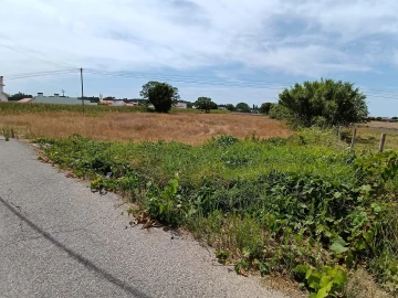 Terreno para Venda em Ílhavo (São Salvador)