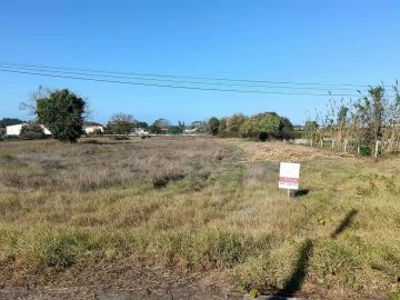 Terreno para Venda em Ílhavo (São Salvador)