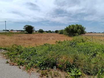 Terreno para Venda em Ílhavo (São Salvador)