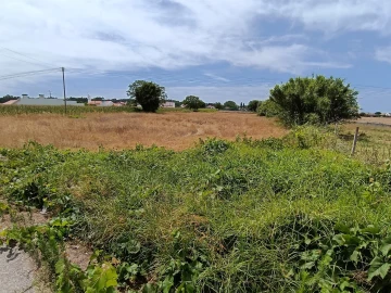 Terreno para Venda em Ílhavo (São Salvador)