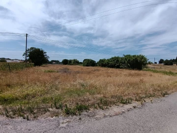 Terreno para Venda em Ílhavo (São Salvador)