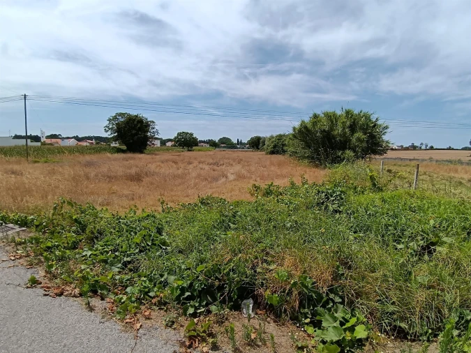 Terreno para Venda em Ílhavo (São Salvador) Foto 6
