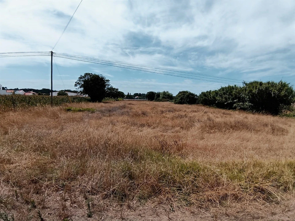 Terreno para Venda em Ílhavo (São Salvador) Foto 1
