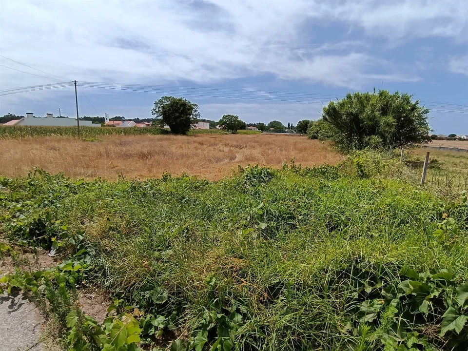Terreno para Venda em Ílhavo (São Salvador) Foto 3