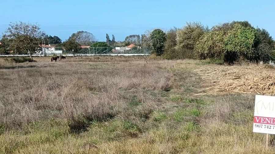 Terreno para Venda em Ílhavo (São Salvador)