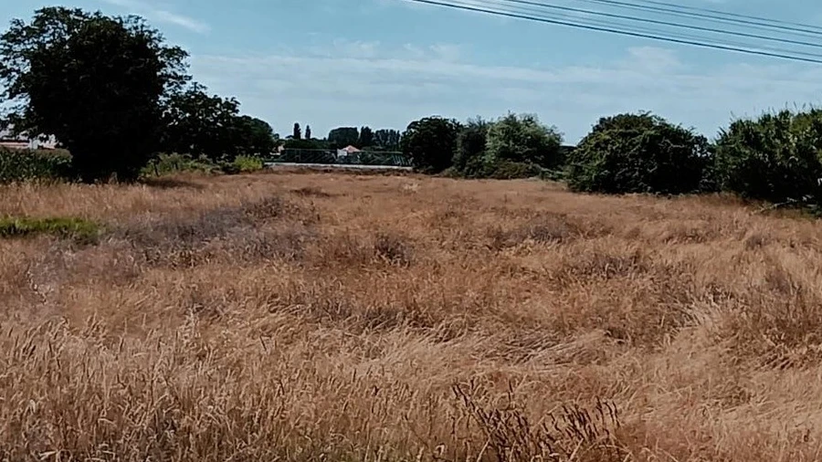 Terreno para Venda em Ílhavo (São Salvador)